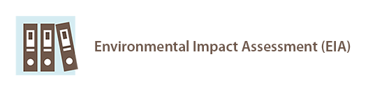 Environmental Impact Assessment (EIA)